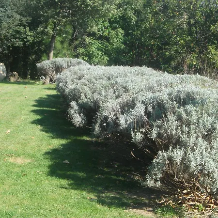 בית נופש ;chaletsemi Di Crescita 295s *